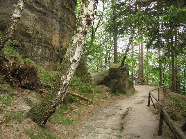 P7030269.JPG