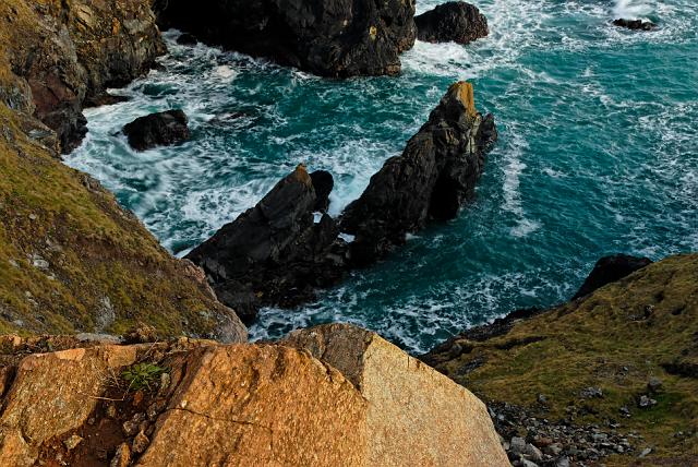 DSC_0238.jpg