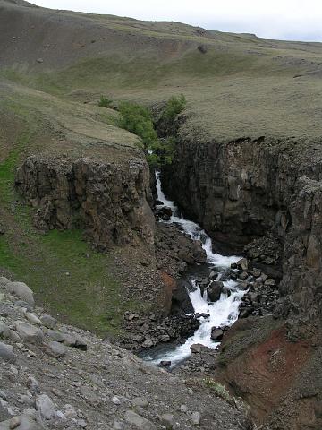 P6190162.JPG