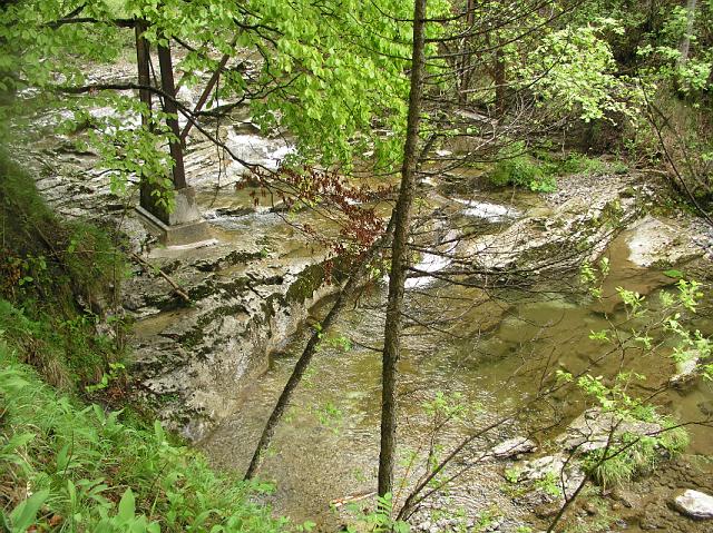 P5230469.JPG