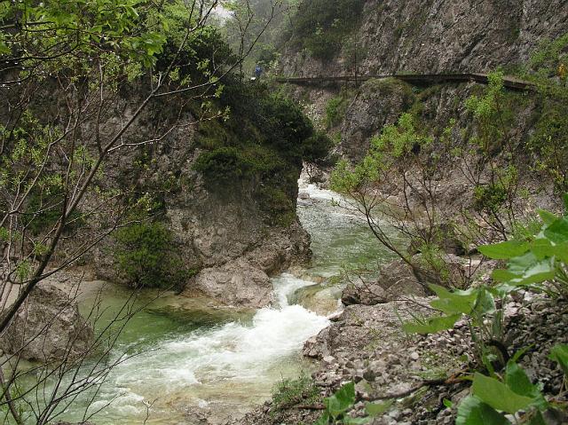 P5230526.JPG