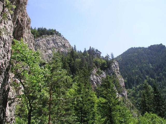 P7310135.JPG