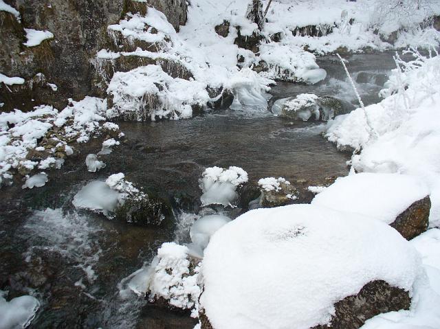 P1030150.JPG