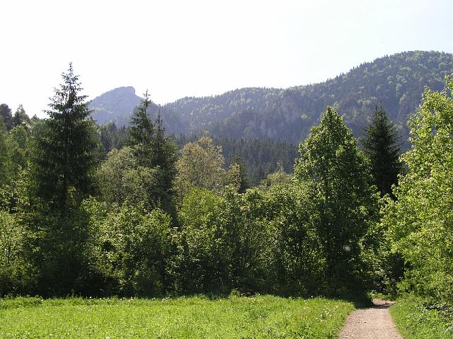 P6040424.JPG
