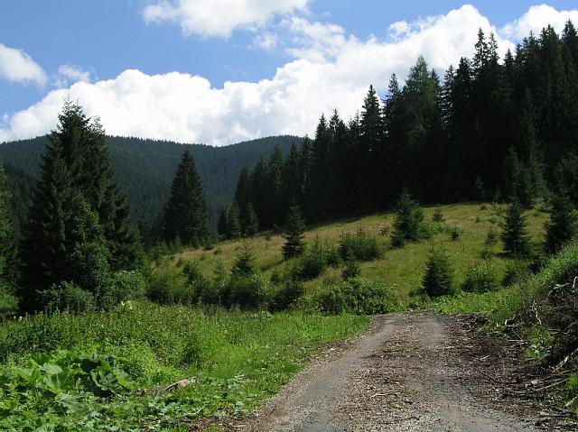 P8101061.JPG