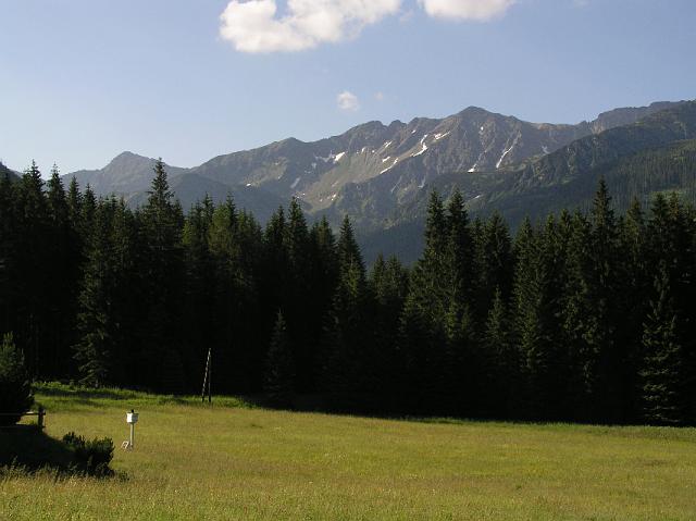 P7040652.JPG