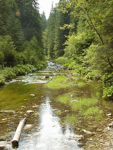 P8293000.JPG