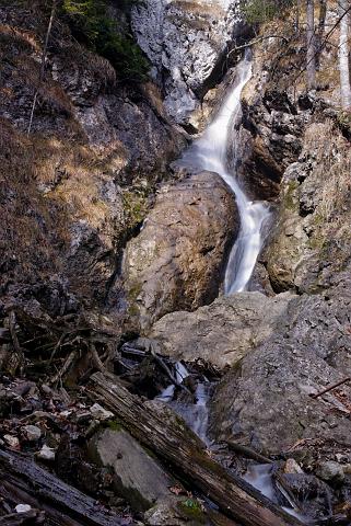 DSC_8136.jpg