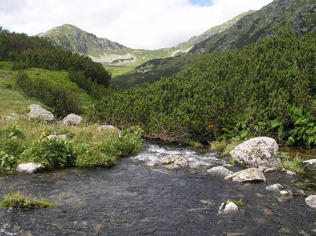 P8281389.JPG