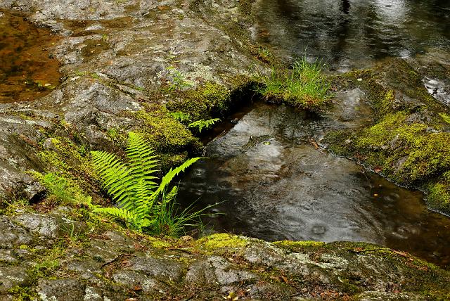 DSC_4503_DXO.jpg